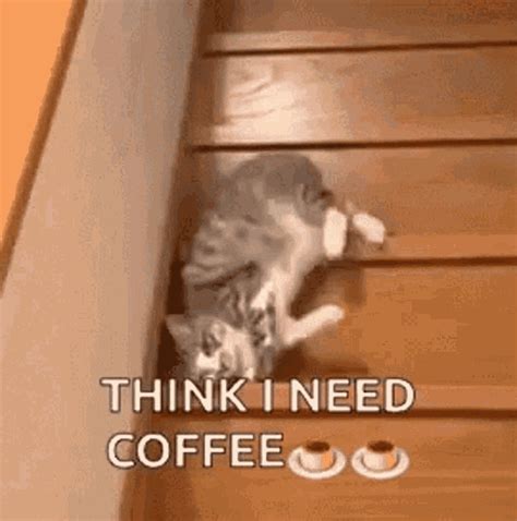 no coffee gif|laughing with coffee gif.